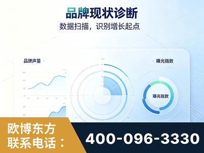 大石桥-品牌现状诊断