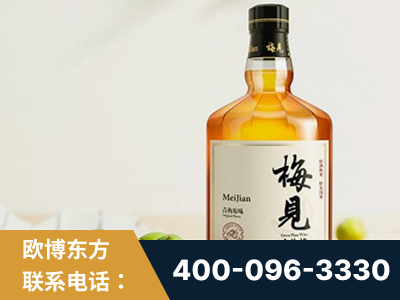 大石桥-梅见青梅酒
